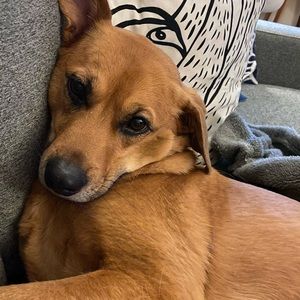 Meet your Posher, Kelly